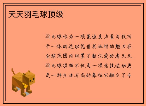 天天羽毛球顶级