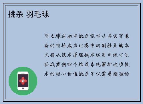 挑杀 羽毛球